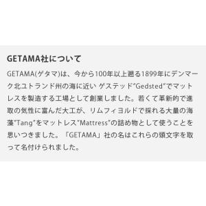 ソファー 1人掛け イージーチェア ジェネリッ...の詳細画像2