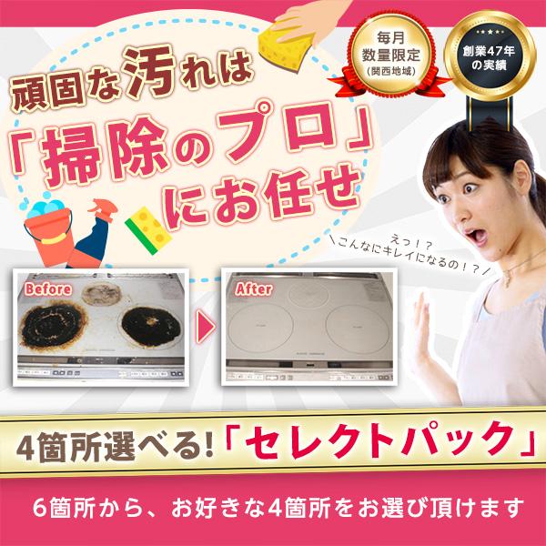 お掃除セレクトパック♪4箇所選べるお得なメニュー！対象エリア：大阪府、兵庫県、奈良県、京都府、滋賀県...