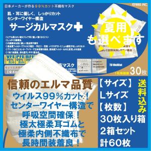 マスク 不織布 Ｌサイズ ９９％ウイルスカットフィルター センターワイヤー 医療機器メーカー製造 ３０枚入りボックス ２箱セット 送料込み