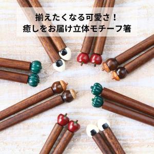 箸 日本製 おしゃれ 先角箸 子供 大人 お箸...の詳細画像1