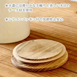 調味料入れ 保存容器 調味料ポット キャニスタ...の詳細画像5