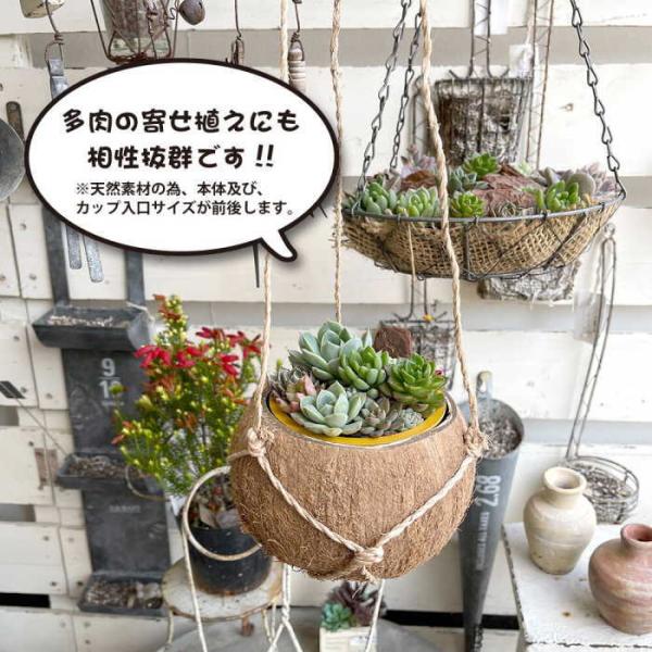 植木鉢 おしゃれ プランター 鉢 ハンギングプランター ポット ガーデニング雑貨 園芸用品 かわいい...