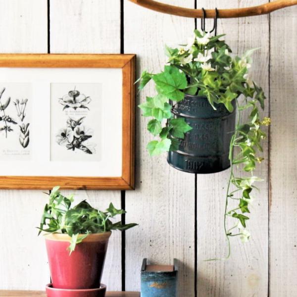 ハンギングプランター 植木鉢 鉢 ガーデニング用品 プランター おしゃれ 鉢カバー 安い 吊り下げ用...