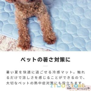 ひんやりマット 冷感敷きパッド Mサイズ 犬用...の詳細画像1