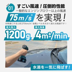 エアロツールズ 超強力 ブロワー MK-2 m...の詳細画像4