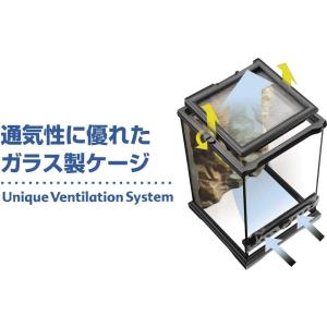 グラステラリウム その他レイアウト用品 水槽 アクアリウム用 の商品一覧 レイアウト用品 熱帯魚 アクアリウム用品 ペット用品 生き物 通販 Yahoo ショッピング