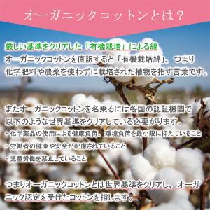 おやすみ手袋 ハンドケア 綿手袋 オーガニック...の詳細画像2