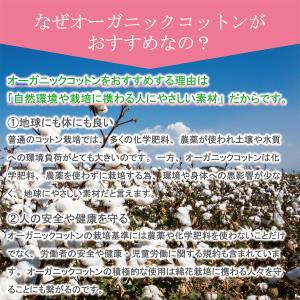 おやすみ手袋 ハンドケア 綿手袋 オーガニック...の詳細画像3