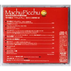 送料無料 CD 川口市・アンサンブルリベルテ吹...の詳細画像1
