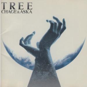 CHAGE and ASKA チャゲ＆飛鳥 / TREE トゥリー / 1991.10.10 / 14thアルバム / 通常盤 / PCCA-00304｜WINDCOLOR MUSIC