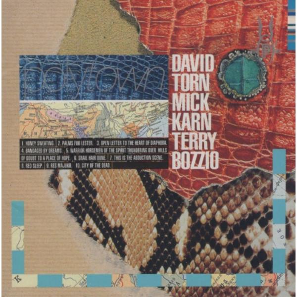 ポリタウン POLYTOWN (デヴィッド・トーン DAVID TORN,ミック・カーン MICK ...