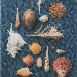 スピッツ Spitz / RECYCLE Greatest Hits of SPITZ 1999.12.15 ベスト