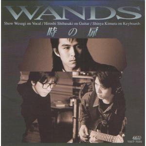 WANDS ワンズ / 時の扉 / 1993.04.17 / 2ndアルバム / TOCT-7025