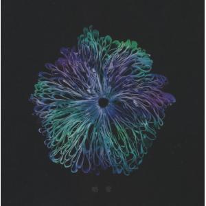 中島みゆき / 歌暦 1987.02.21 ライブアルバム D35A-0273 : WINDCOLOR