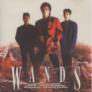 WANDS ワンズ / WANDS ワンズ / 1994.02.02 / 1stアルバム / 1992年作品 / 再発盤 / BGCH-1006