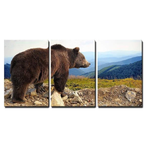パネルアート Wall 26-Big Brown Bear (Ursus Arctos) in th...