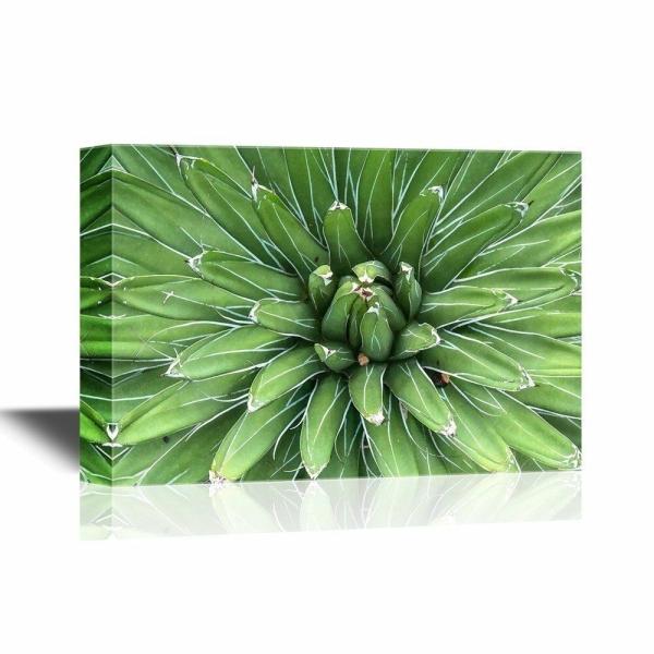 パネルアート 壁 26-フローラルキャンバスウォールアート-シャープポインテッドアゲーブ植物葉 - ...