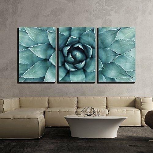 パネルアート 壁 26-シャープポイントアゲーブ植物葉-CVS - 16 インチx 24 インチx ...