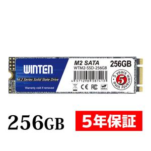 WINTEN 内蔵SSD 256GB SSD M.2 5年保証 ドライバー付 Type2280 SATA3 6GB/s 3D NAND フラッシュ搭載 B&amp;M Key エラー訂正機能 省電力 WTM2-SSD-256GB 6083