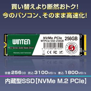 【外付けケースセット】WINTEN SSD M...の詳細画像1