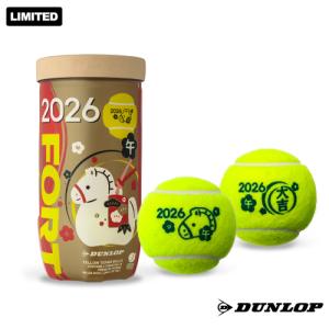 DUNLOP(ダンロップ)FORT(フォート)[2個入]1箱(30缶/60球) ダンロップ フォート2 DUNLOP FORT2 1箱 30缶 60球入 硬式 テニス