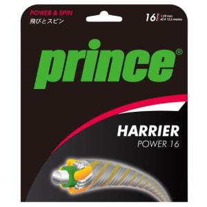プリンス ハイブリッドスピンXX 7JJ034 メイン：ツアーXX SPIN 17