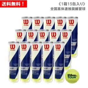 ウイルソン TOUR STANDARD ツアースタンダード 1箱 15缶 60球 ウィルソン ツアースタンダード WILSON TOUR STANDARD 1箱 15缶