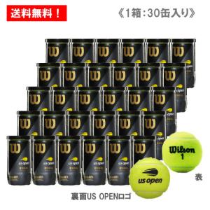 Wilson ウイルソン USオープン エクストラデューティー 1缶 2球入 US