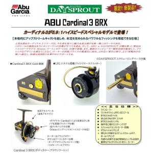 Abu Garcia（アブガルシア） アンバサダー6600/6601CA ファクトリー