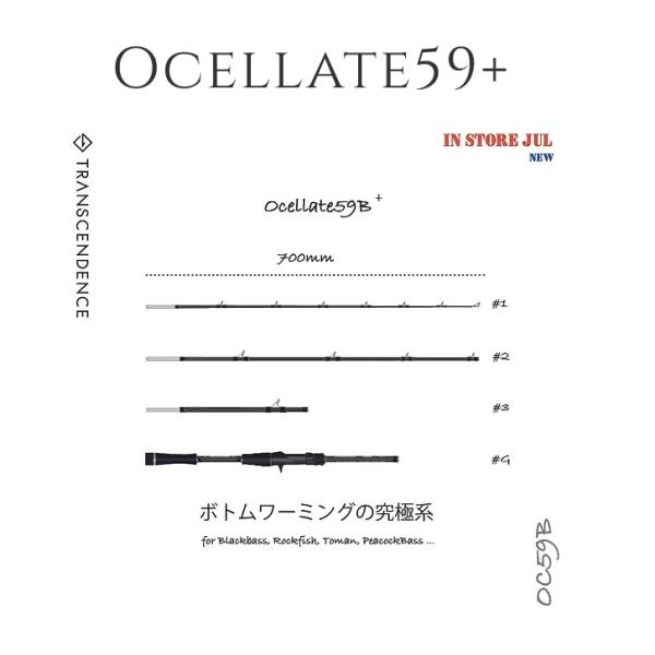 トランスセンデンス オセレイトOcelate59B+ ベイトロッド