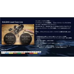 Sufix(サフィックス) 832アドバンスレッドコア12lb/5.4kg 200yds