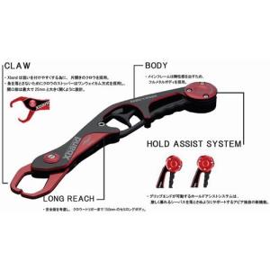 アピア Xband(エクスバンド) HD シャンパンゴールド 【即日発送