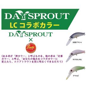 ディスプラウト　リタ　オリカラ有り DAYSPROUT（ディスプラウト） ディスプラウトXアイビーライン リタRita