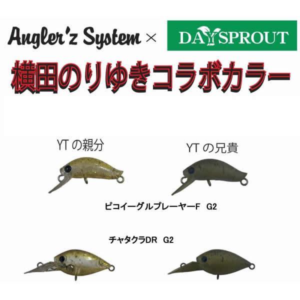 アングラーズシステム X ディスプラウト  ピコイーグルプレーヤーF G2　チャタクラDR G2　コ...