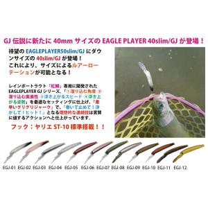 ディスプラウト イーグルプレーヤー 40slim/GJ