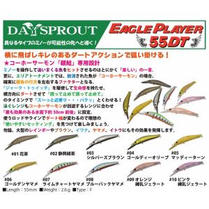 ディスプラウト イーグルプレーヤー 55DT フローティング