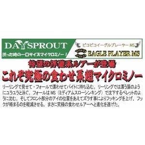 ディスプラウト ピコピコイーグルプレーヤー MSの詳細画像3