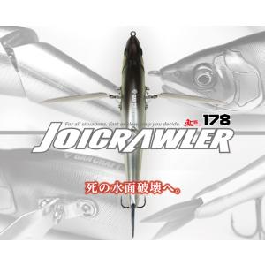 EverGreen（エバーグリーン） マドネスXエバーグリーン バラム245 菊元