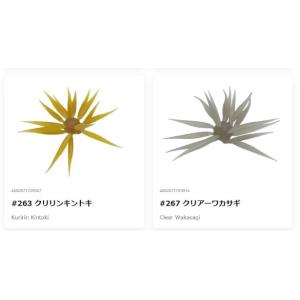 ハイドアップ コイケフィッシュCoikeFis...の詳細画像3