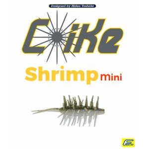HIDEUP（ハイドアップ） コイケシュリンプCoike Shrimp : ウインズ