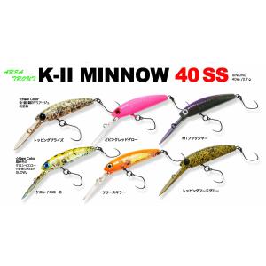HMKL （クリックポスト発送）ハンクル シャッド55SS エリア