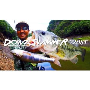 JACKALL/ジャッカルDOWZSWIMMER 180SF ダウズスイマー 180SF