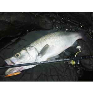 JUMPRIZE ジャンプライズ モンスターアブソーバーMONSTER