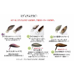 ノーセンティック ディープパラドックス ガブGABU 24 S 6点セット品 ノーセンティック×ディープパラドックス GABU(ガブ) 24S