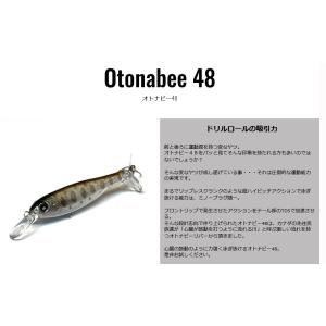 ニシネルアーワークス エリーErie95SD クリックポスト発送可