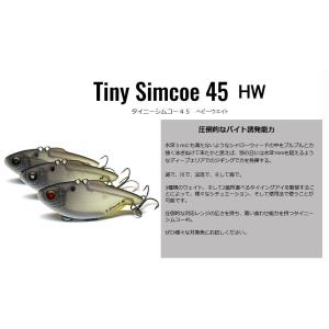 AC Plug ACプラグ Minnow ミノー 7インチ : ウォーターハウス - 通販