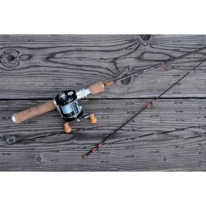 ラッティーツイスター ライムカントリー L81 STDS. 2025年モデル