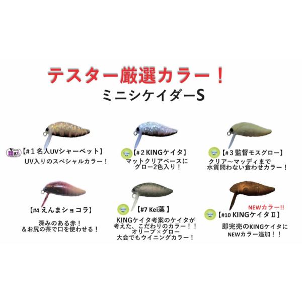 タックルハウス X オフィスユーカリ ミニシケイダー Sシンキング テスター厳選カラー