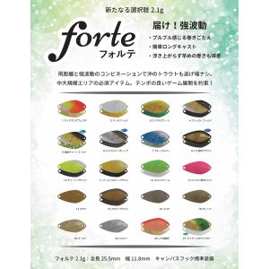 ベルベットアーツVelnet-arts フォルテforte 2.1g