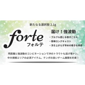 ベルベットアーツVelnet-arts フォルテforte 2.1g